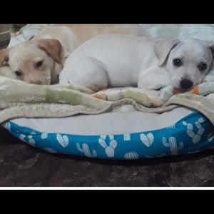 Meet your Posher, Esperanza